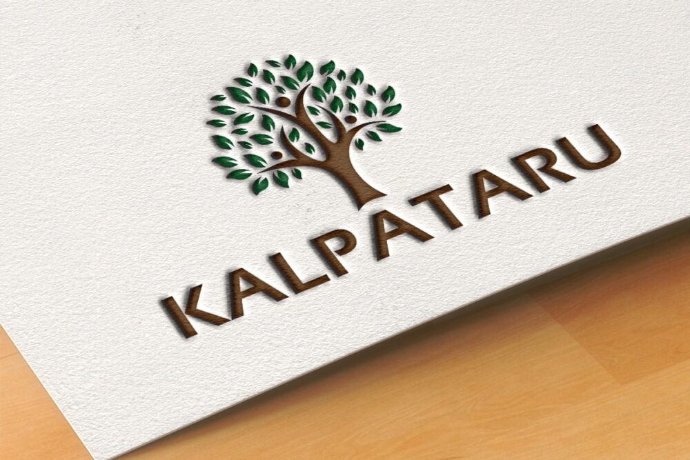 Budget Logo Design Advance Package - Award Winning Branding Agency ...